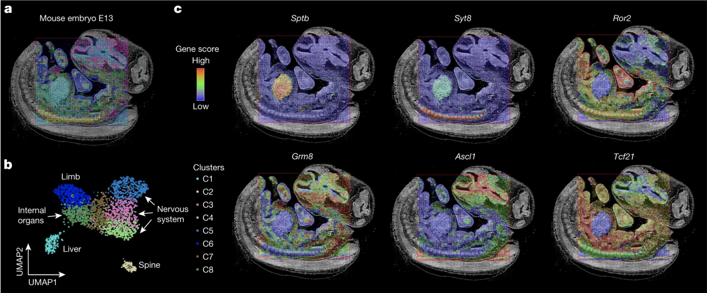Publication_15_2022 Nature_2.jpeg
